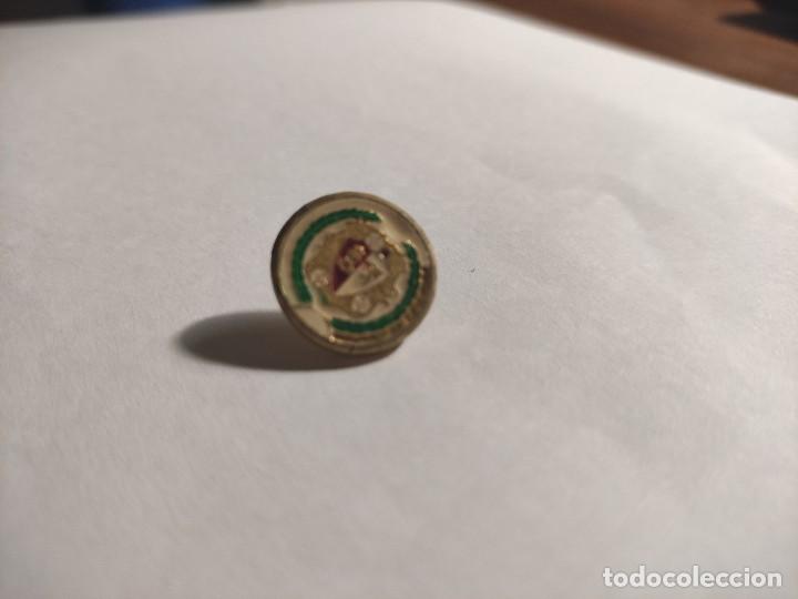 Pins de colecci&oacute;n: Pin heraldico de?, Con grietas, mal estado