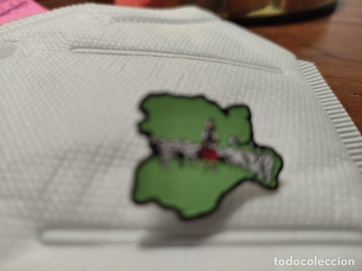 Pins de colecci&oacute;n: Pin Castilla Le&oacute;n. Pastora con ovejas