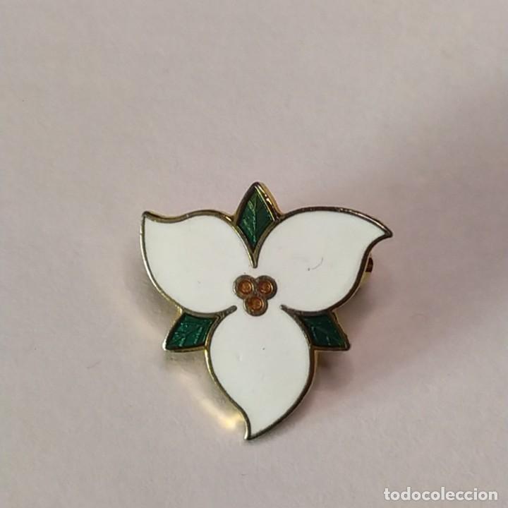 Pins de colecci&oacute;n: ## Flor de edelvives - insignia de imperdible ##
