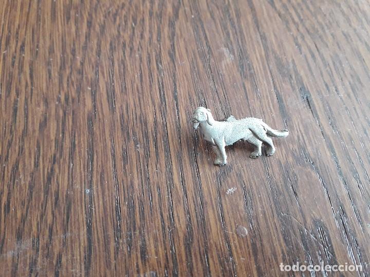 pin de animales, perro.