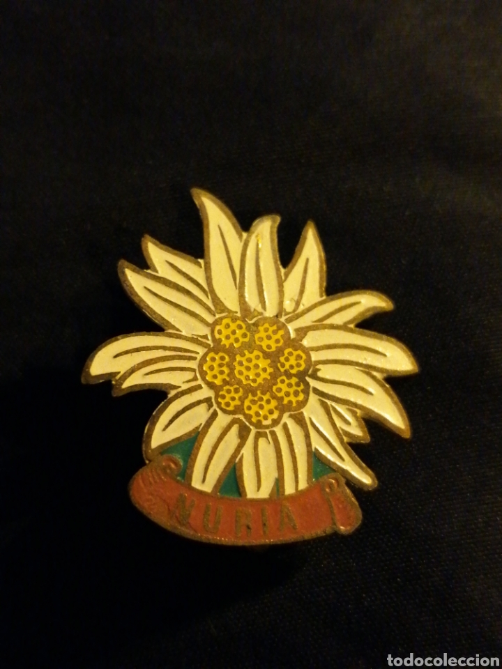 Pins e Spille di collezione: Pin tipo insignia antigua flor Nuria