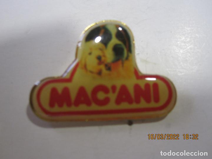 Pins de colecci&oacute;n: ANTIGUO PIN O PINS DE COLECCION MAC&acute;ANI