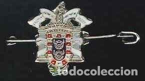 Collection pins: PIN - HERALDICO - CIUDAD AUTONOMA DE MELILLA (IMPERDIBLE - AGUJA)