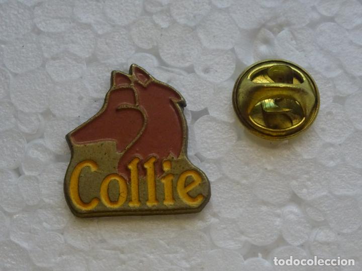Pins de colecci&oacute;n: PIN DE ANIMALES. PERRO COLLIE - Foto 1