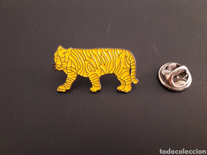Pin on Tigre