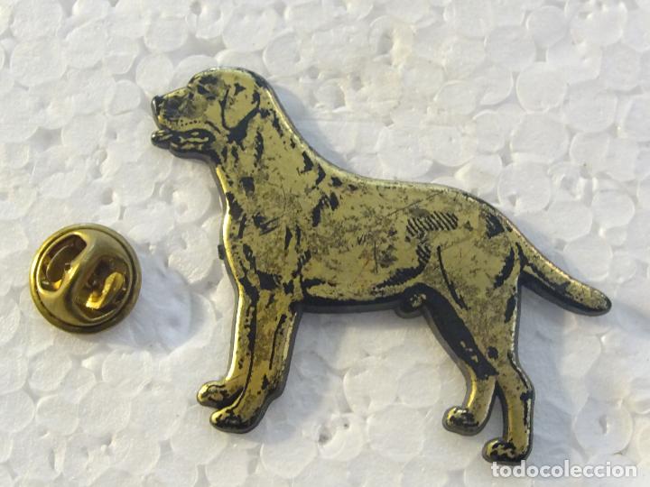 Pins de cole&ccedil;&atilde;o: PIN DE ANIMALES. PERRO GRAN TAMA&Ntilde;O