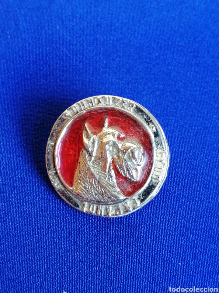 Pins de colecci&oacute;n: CLUB ESPA&Ntilde;OL DEL SCHNAUZER PIN