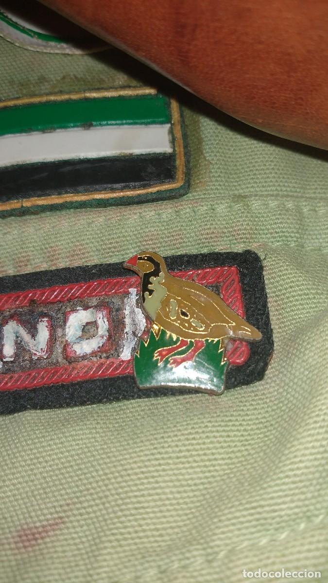 Pins de colecci&oacute;n: pin de perdiz antiguo