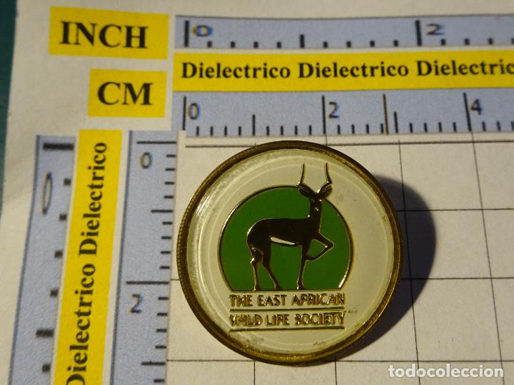 Sammlung von Pins: BROCHE INSIGNIA. ECOLOG&Iacute;A FAUNA &Aacute;FRICA. THE EAST AFRICAN WILDLIFE SOCIETY