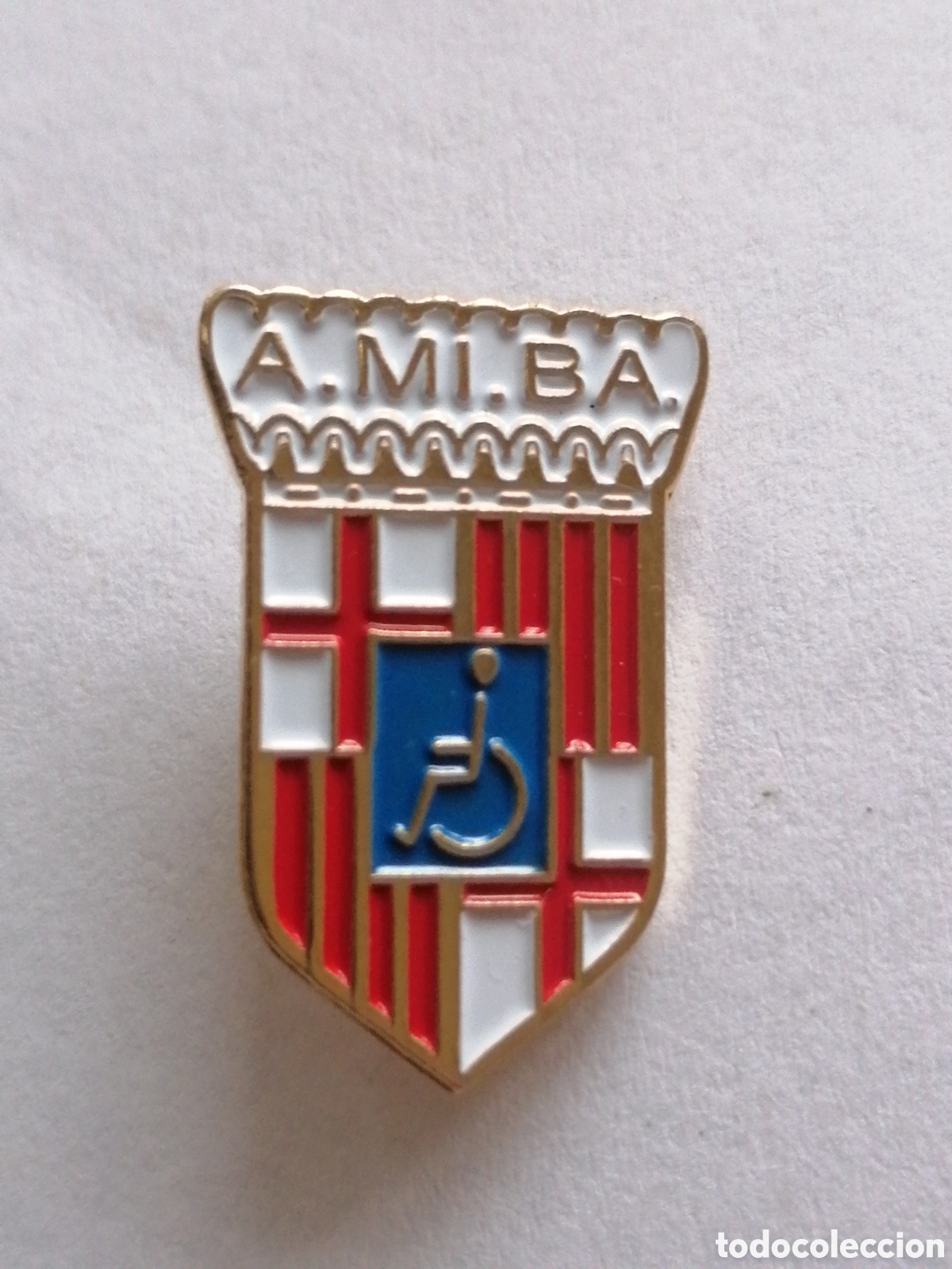 Pins de cole&ccedil;&atilde;o: Pin Asociaci&oacute;n AMIBA Barcelona