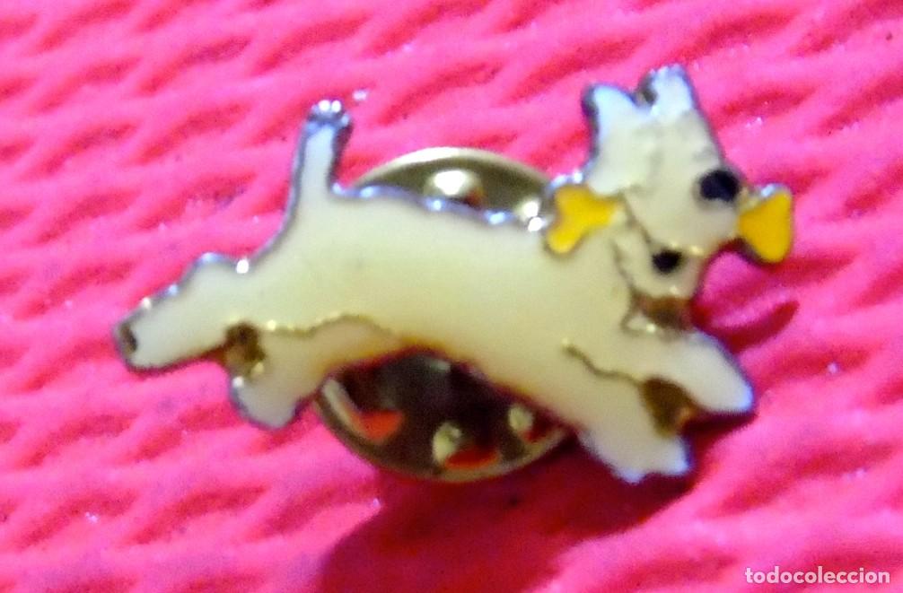 Pins de colecci&oacute;n: PIN MILU