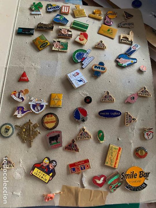 Pins de colecci&oacute;n: LOTE DE 55 PINS DE TEMATICA VARIADA