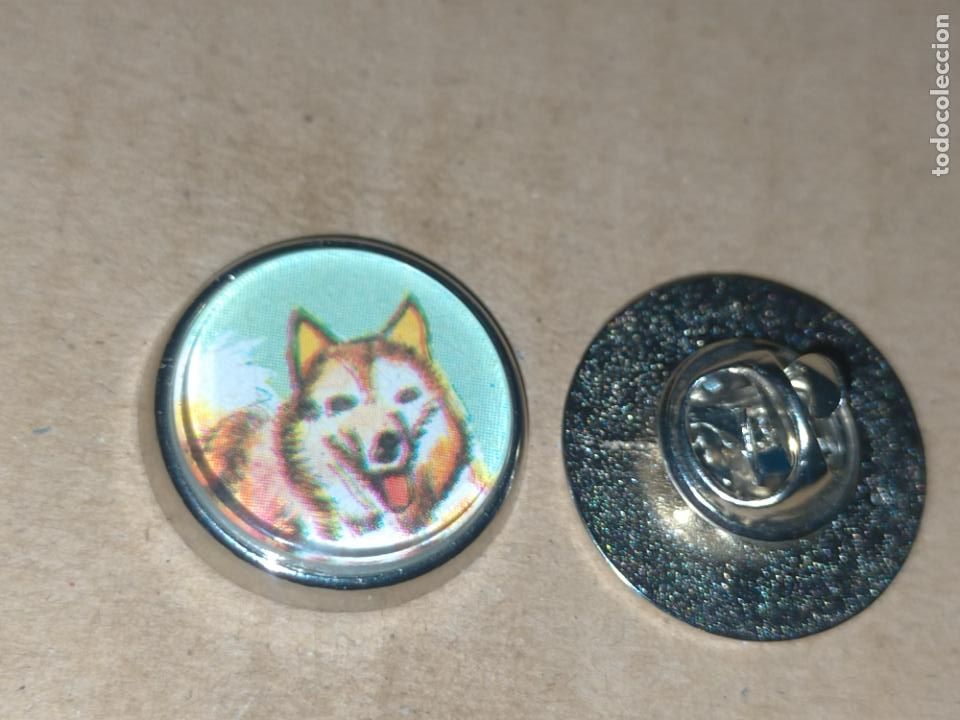 Pins de colecci&oacute;n: pin redondo metal - raza canina perro Alaska