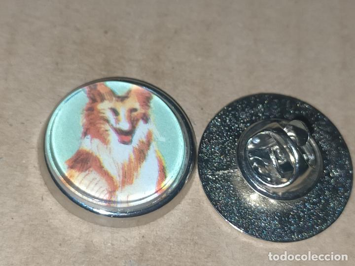 Collection pins: pin redondo metal - raza canina perro pastor escoc&eacute;s
