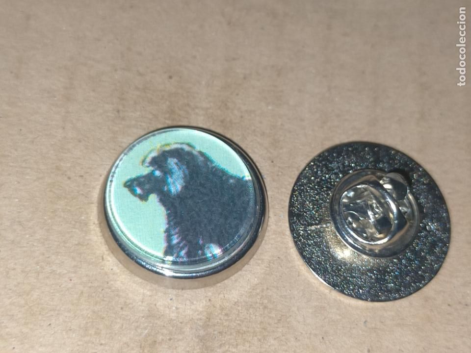 Collection pins: pin redondo metal - raza canina perro caniche