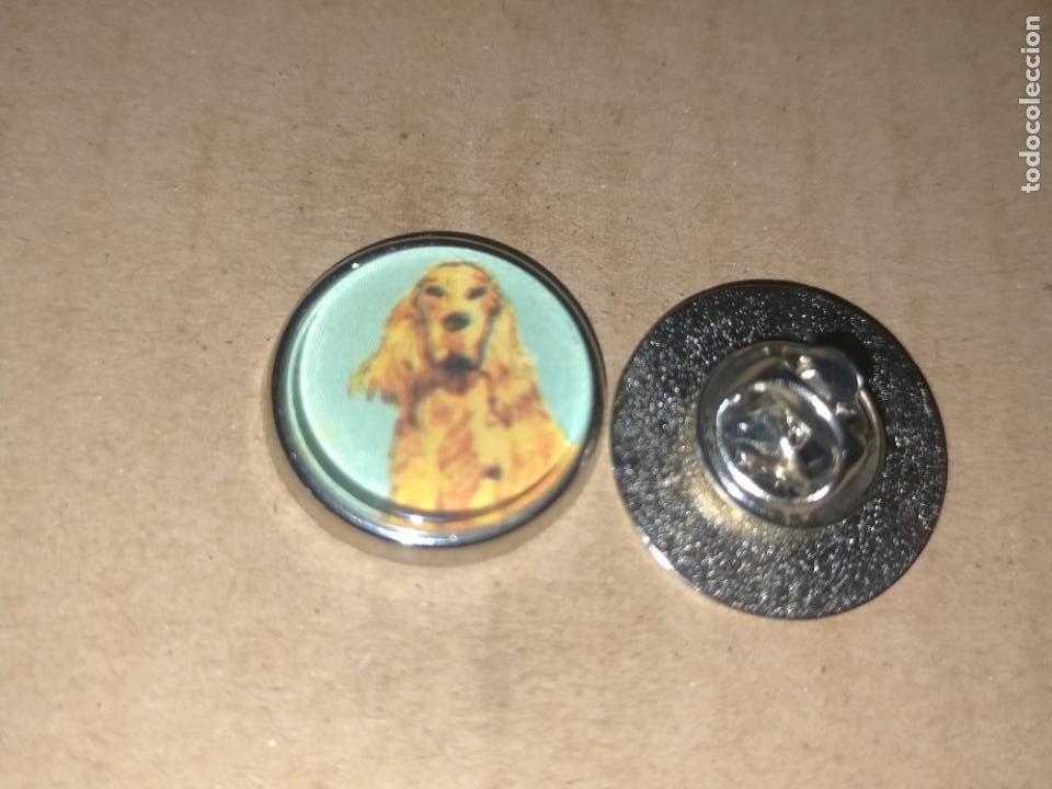 Collection pins: pin redondo metal - raza canina perro cocker spaniel