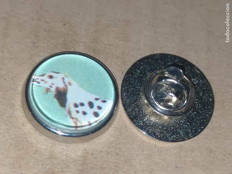 Pin's de collection: pin redondo metal - raza canina perro setter ingl&eacute;s
