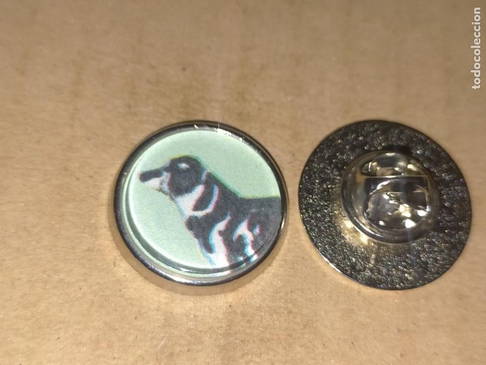 Collection pins: pin redondo metal - raza canina perro Terranova