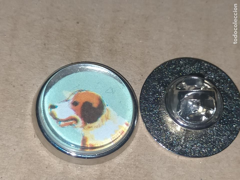 Sammlung von Pins: pin redondo metal - raza canina perro San Bernardo