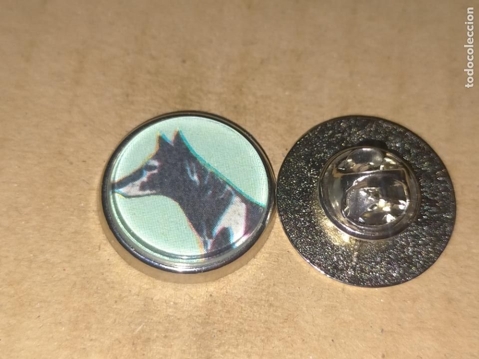 Pin's de collection: pin redondo metal - raza canina perro doberman
