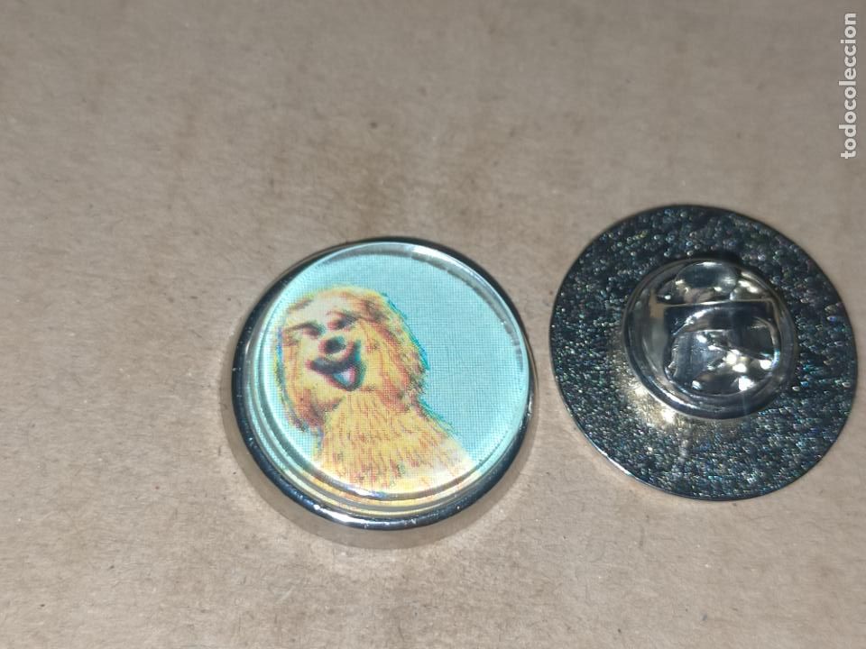 Collection pins: pin redondo metal - raza canina perro lebrel afgano