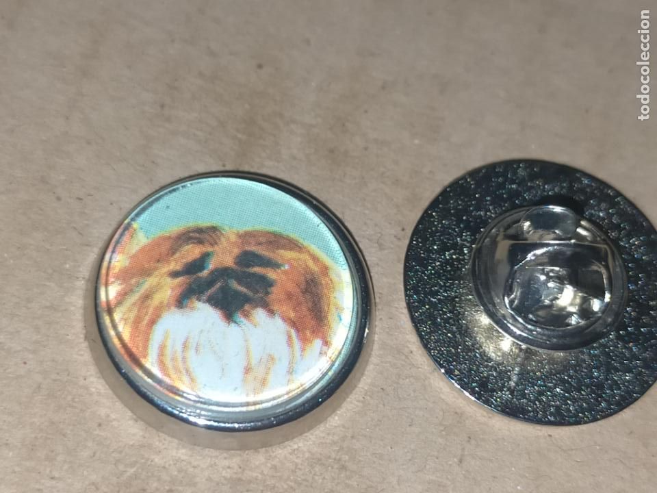 Sammlung von Pins: pin redondo metal - raza canina perro pequin&eacute;s
