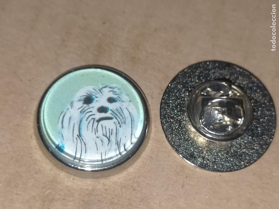 Pin's de collection: pin redondo metal - raza canina perro malt&eacute;s