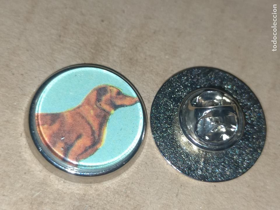 Sammlung von Pins: pin redondo metal - raza canina perro basset