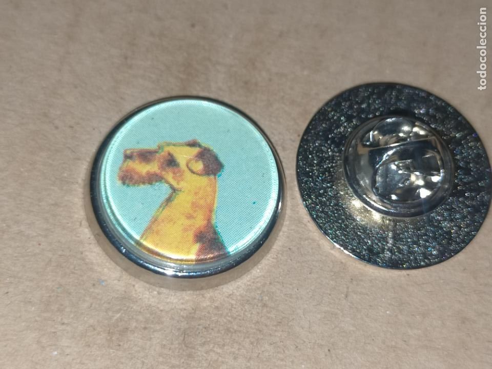 Sammlung von Pins: pin redondo metal - raza canina perro airedale terrier