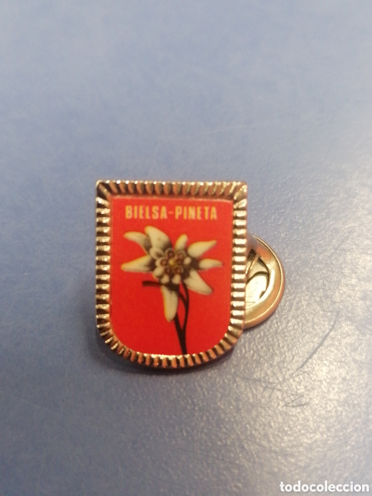 Sammlung von Pins: PIN Bielsa municipio poblaci&oacute;n Pineta