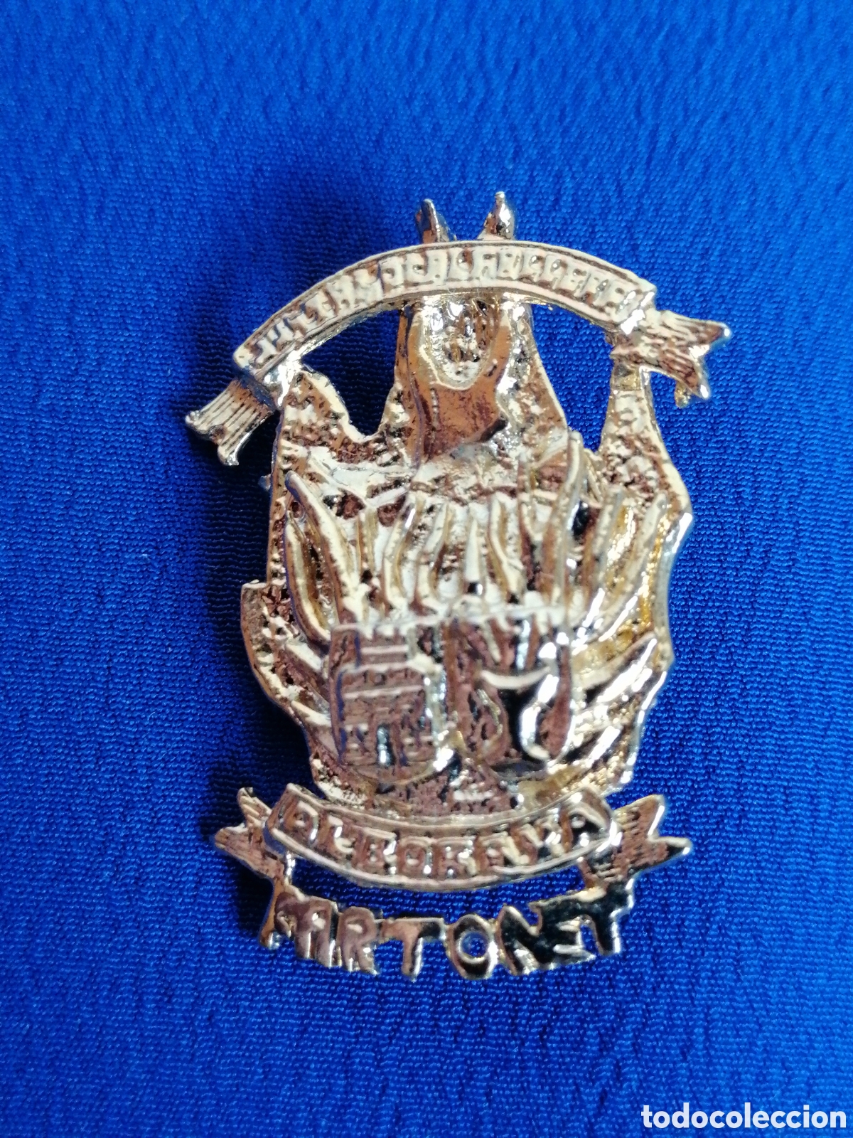 Collection pins: JUNTA LOCAL FALLERA ALBORAYA (FARTONET) INSIGNA DE ALFILER