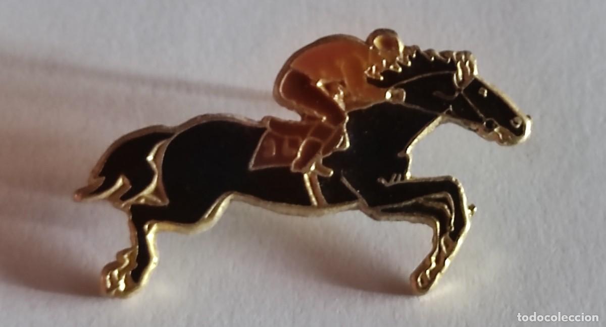 Pin en Caballos