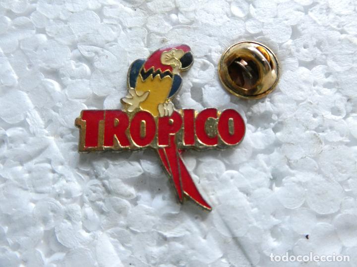 Pins de colecci&oacute;n: PIN DE ANIMALES. AVES P&Aacute;JAROS LORO. TR&Oacute;PICO