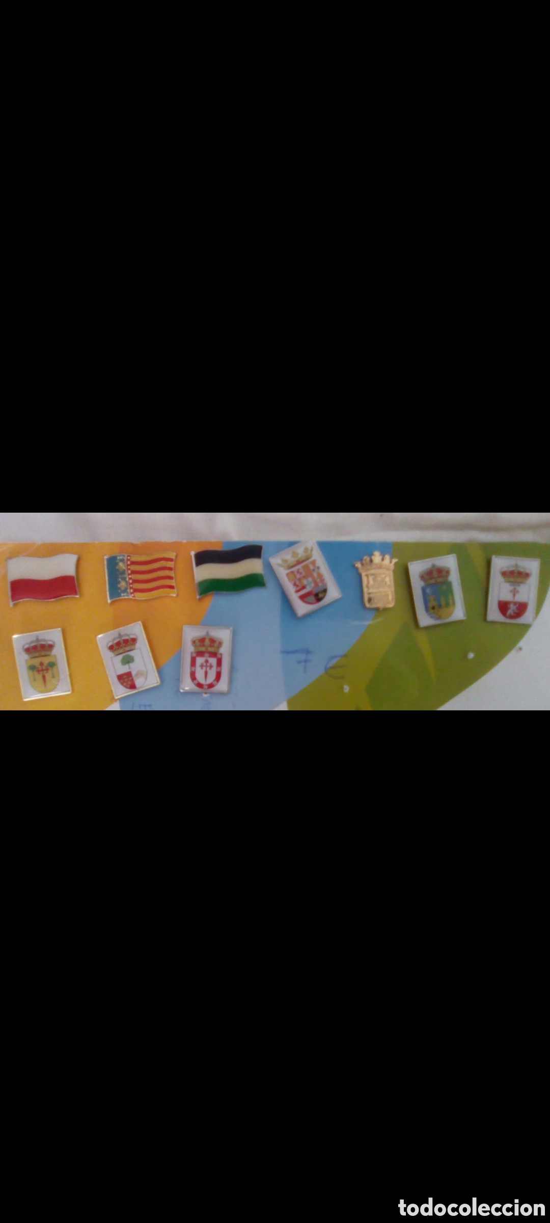 Pins her&aacute;ldicos