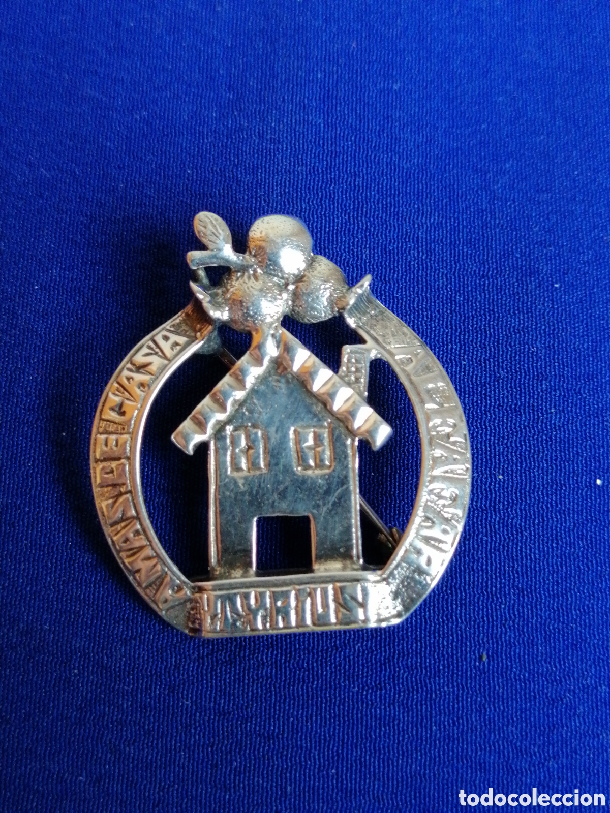Sammlung von Pins: AMAS DE CASA ALFAFAR - TYRUS - INSIGNA DE PLATA DE ALFILER