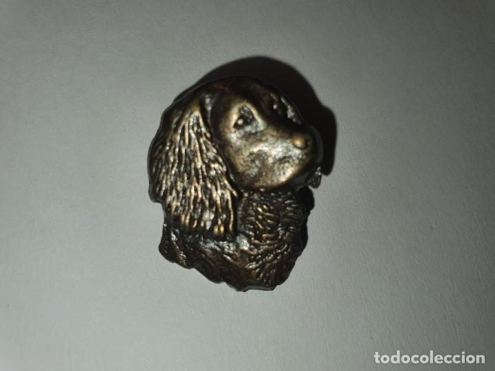 PIN CHAPA -- PERRO