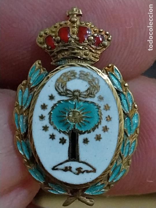 Pins de cole&ccedil;&atilde;o: INSIGNIA PLATA 925 ARBOL ESTRELLAS ENTRE LAUREL BAJO CORONA ESMALTE PERFECTO 2,2 CM ALTO