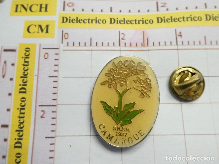 Collection pins: PIN DE TURISMO. CAMARGUE FRANCIA PARQUE NATURAL 1927
