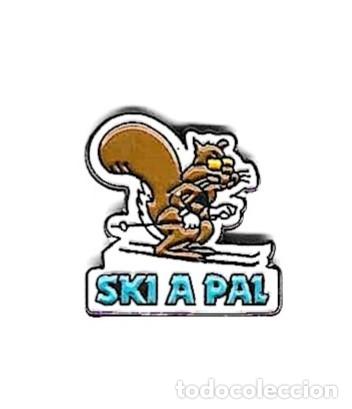 Pins de colecci&oacute;n: Pin Ski a Pal. 132-199