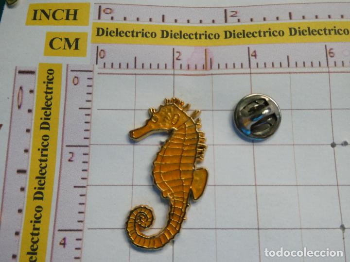 Pins de colecci&oacute;n: PIN DE ANIMALES. CABALLITO DE MAR - Foto 1