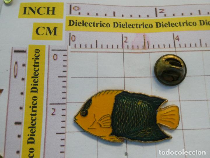Pins e Spille di collezione: PIN DE ANIMALES. PEZ DE COLORES