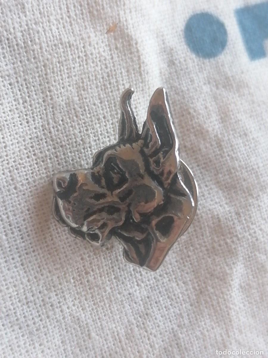 Pins de colecci&oacute;n: Pin cabeza perro dog - Foto 1
