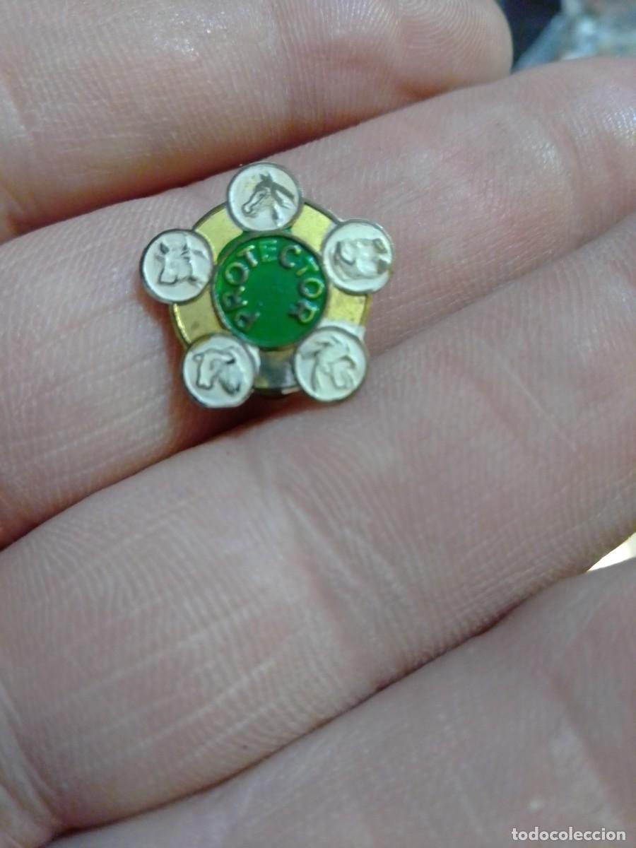 Pins de colecci&oacute;n: INSIGNIA SOLAPA PIENSOS GANADEROS PROTECTOR HUESCA , GANADERIA