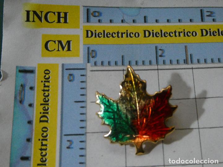 Pins de cole&ccedil;&atilde;o: INSIGNIA ALFILER BROCHE SOLAPA. HOJA DE ARCE. NO PIN