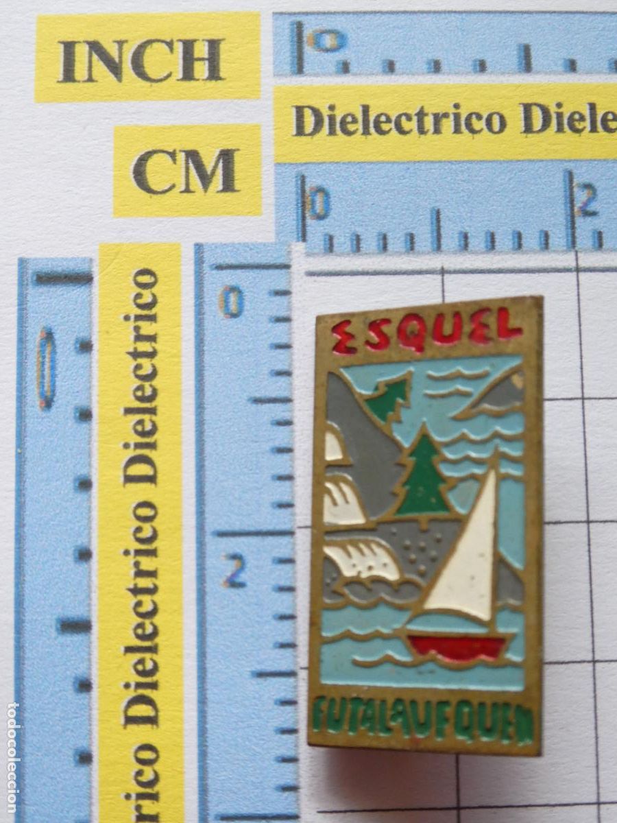 Sammlung von Pins: INSIGNIA BROCHE DE TURISMO. ESQUEL ARGENTINA FUTALEUFU CHILE. ANDES. NO PIN