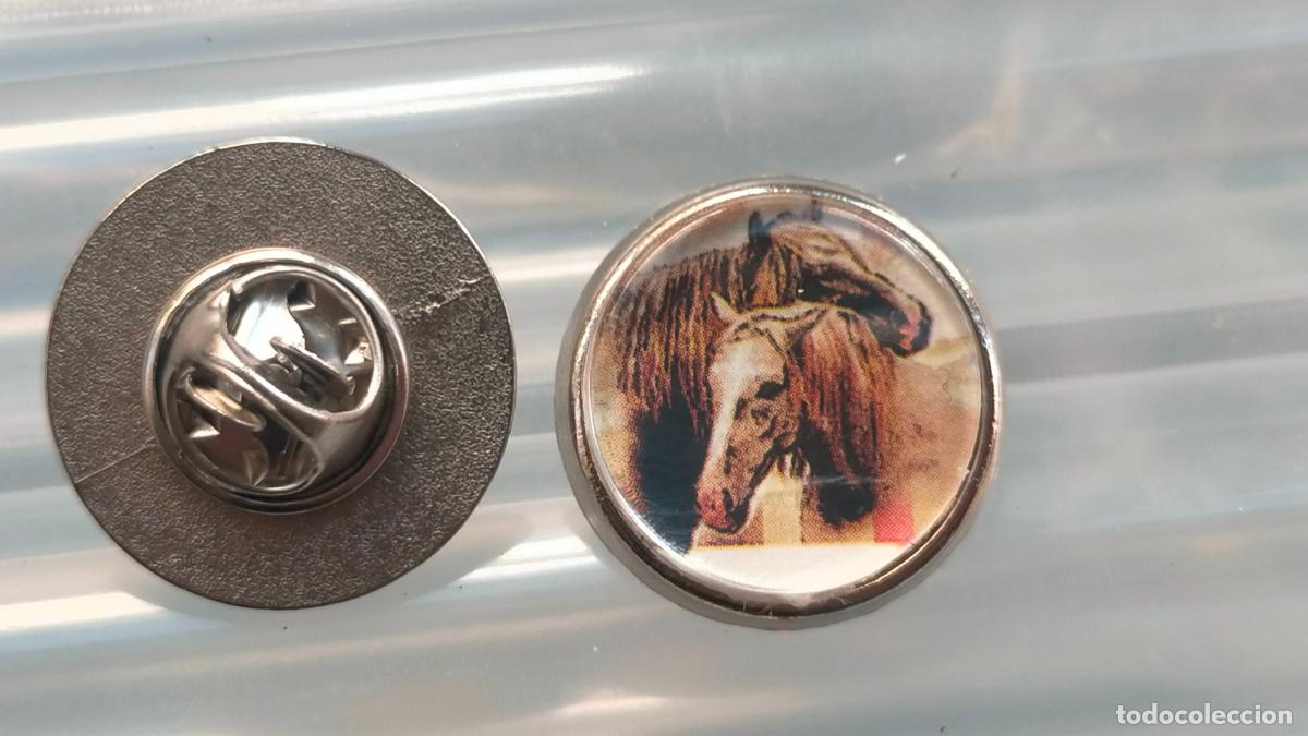 Pin's de collection: PIN REDONDO METAL - EQUITACION CABALLOS