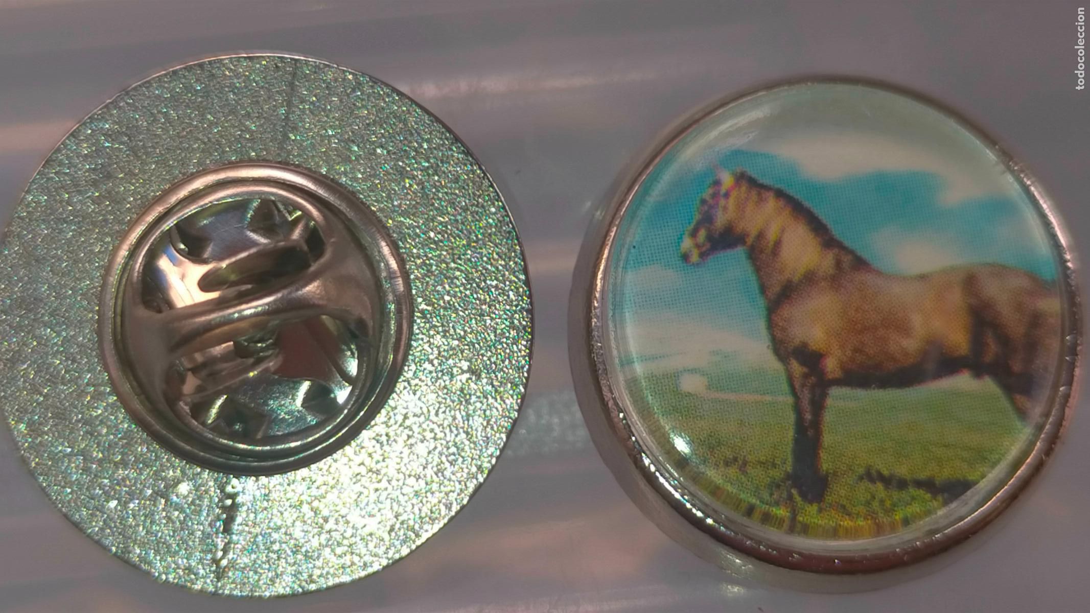 Pins de cole&ccedil;&atilde;o: PIN REDONDO METAL - EQUITACION CABALLOS