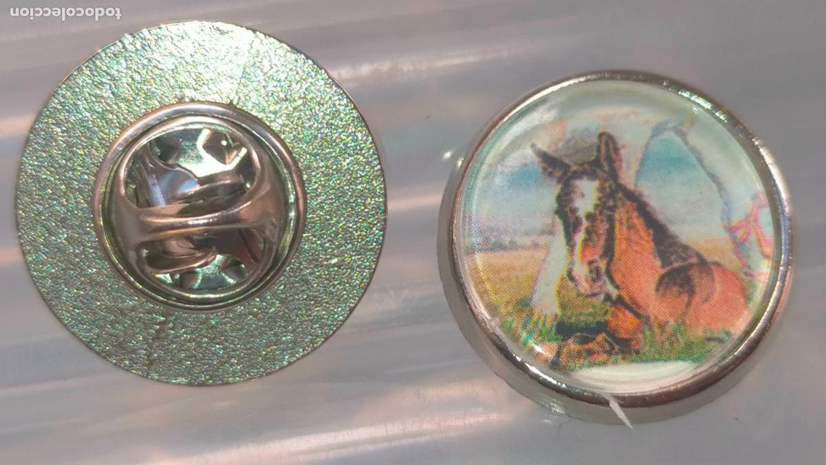 Pin's de collection: PIN REDONDO METAL - EQUITACION CABALLOS