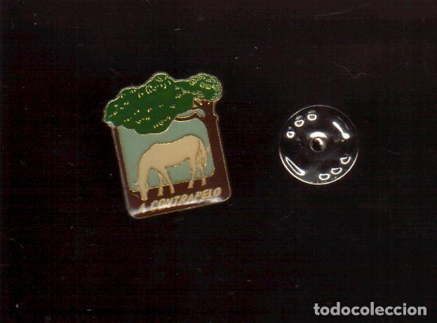Pin's de collection: PRECIOSO PIN - A CONTRAPELO - VER FOTOS QUE NO TE FALTE EN TU COLECCION