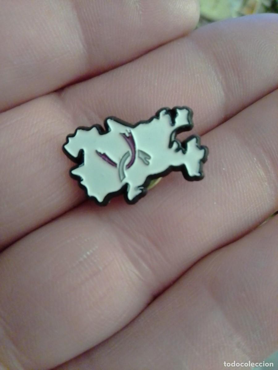 Collection pins: PINS , POL&Iacute;TICA PARTIDO UNI&Oacute;N ALAVESA , TEMA POL&Iacute;TICA Y SINDICAL